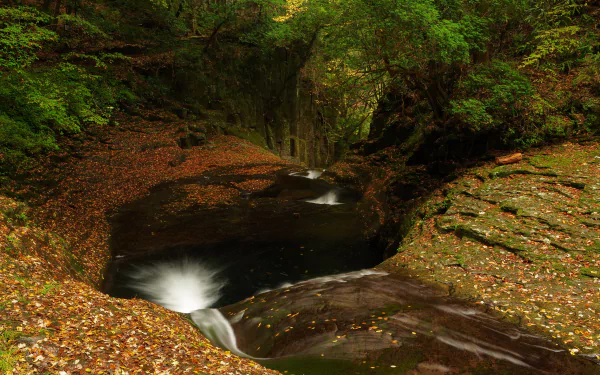 4K Ultra HD desktop wallpaper showcasing a serene forest stream flowing through lush greenery and rocky terrain in a peaceful natural setting.