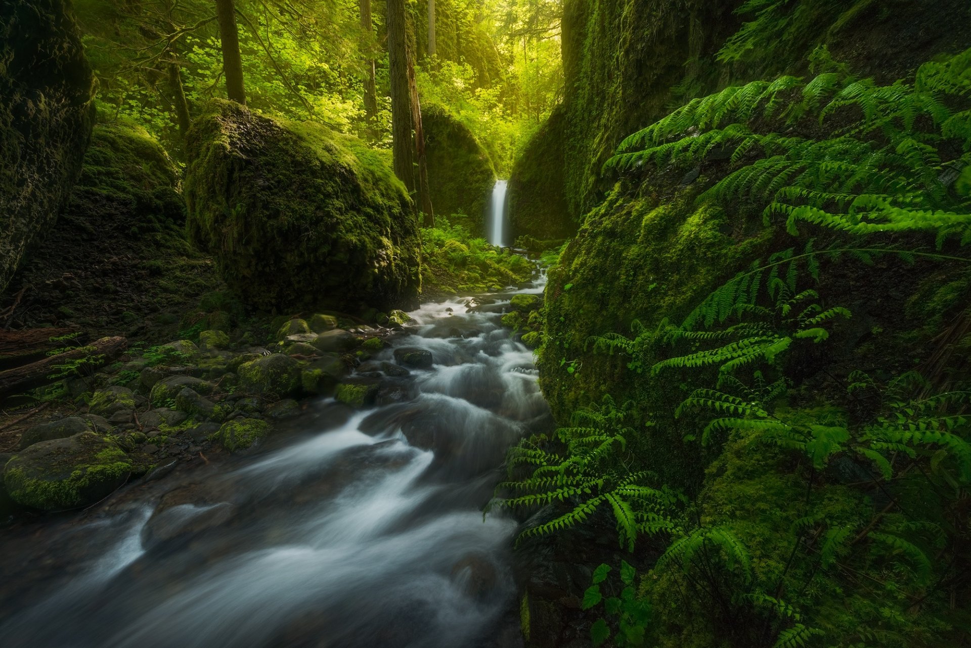 Serene Nature Escape: Mossy Falls HD Wallpaper