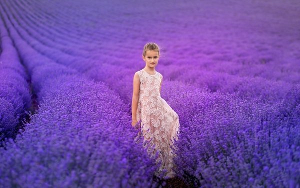 179 Lavender HD Wallpapers | Background Images - Wallpaper Abyss