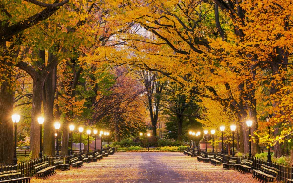 HD wallpaper of Central Park in New York during fall, showing a walkway lined with illuminated lamp posts and benches, surrounded by trees with vibrant autumn leaves.