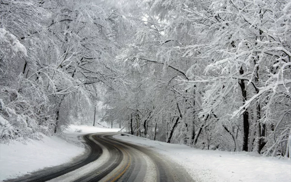 A winding man-made road cuts through a snow-covered forest in winter, captured in stunning 4K Ultra HD detail for a PC desktop wallpaper background.