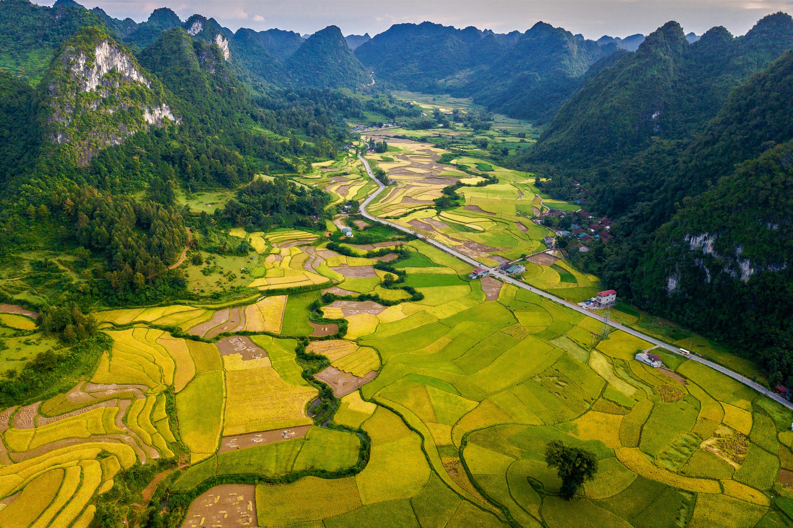 Download Valley Mountain Field Vietnam Nature Landscape HD Wallpaper
