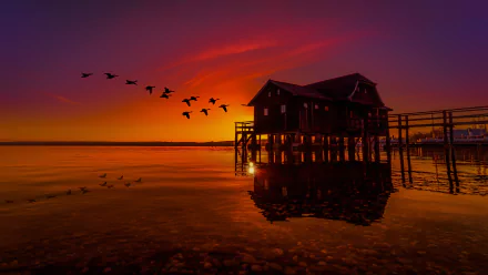 HD desktop wallpaper showing a serene lake at sunset, with a boat house reflected in the water and a flock of birds flying overhead. The warm colors capture the peaceful essence of nature photography.