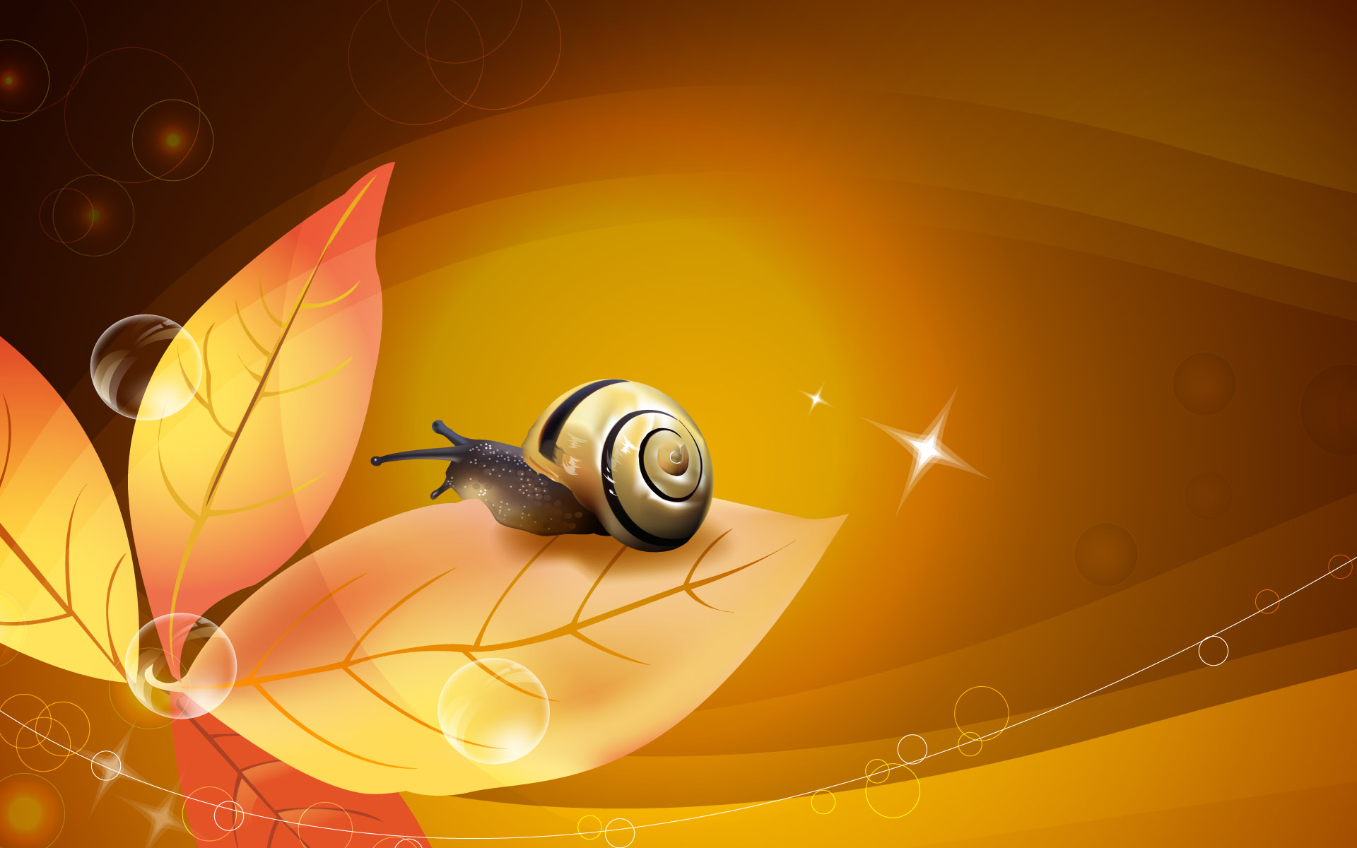 Animal Snail HD Wallpaper | Background Image