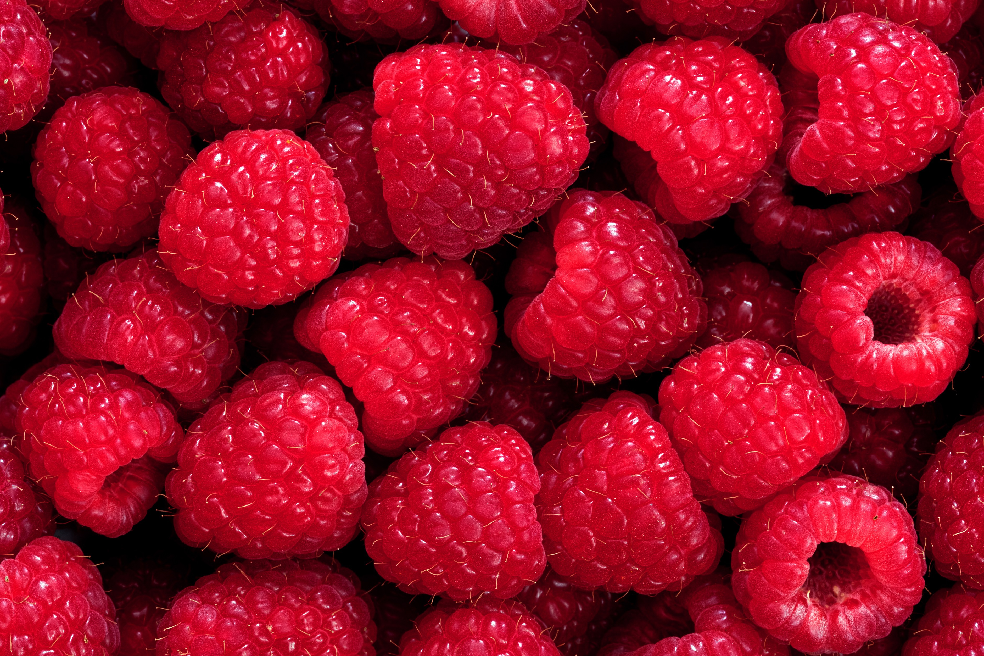 Food Raspberry HD Wallpaper