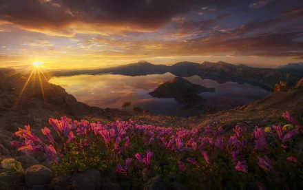 HD desktop wallpaper of Crater Lake, Oregon, featuring a vibrant sunrise over a serene lake with a foreground of pink flowers and an island in the distance. Captures the essence of nature’s beauty.