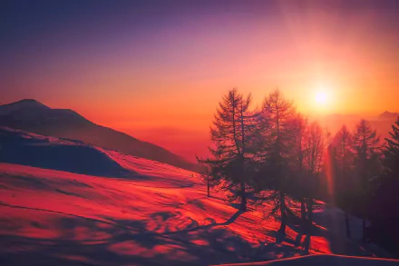 HD desktop wallpaper of a stunning winter sunrise in Italy, featuring snow-covered mountains, red hues, and silhouetted trees. The warm colors and natural beauty create a serene, breathtaking scene.