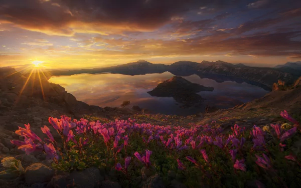 HD desktop wallpaper of Crater Lake, Oregon, featuring a vibrant sunrise over a serene lake with a foreground of pink flowers and an island in the distance. Captures the essence of nature’s beauty.