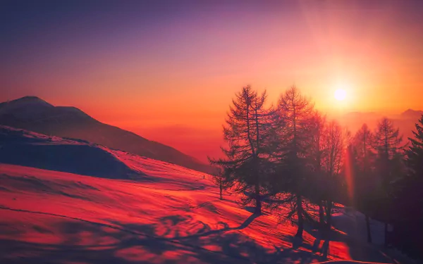 HD desktop wallpaper of a stunning winter sunrise in Italy, featuring snow-covered mountains, red hues, and silhouetted trees. The warm colors and natural beauty create a serene, breathtaking scene.