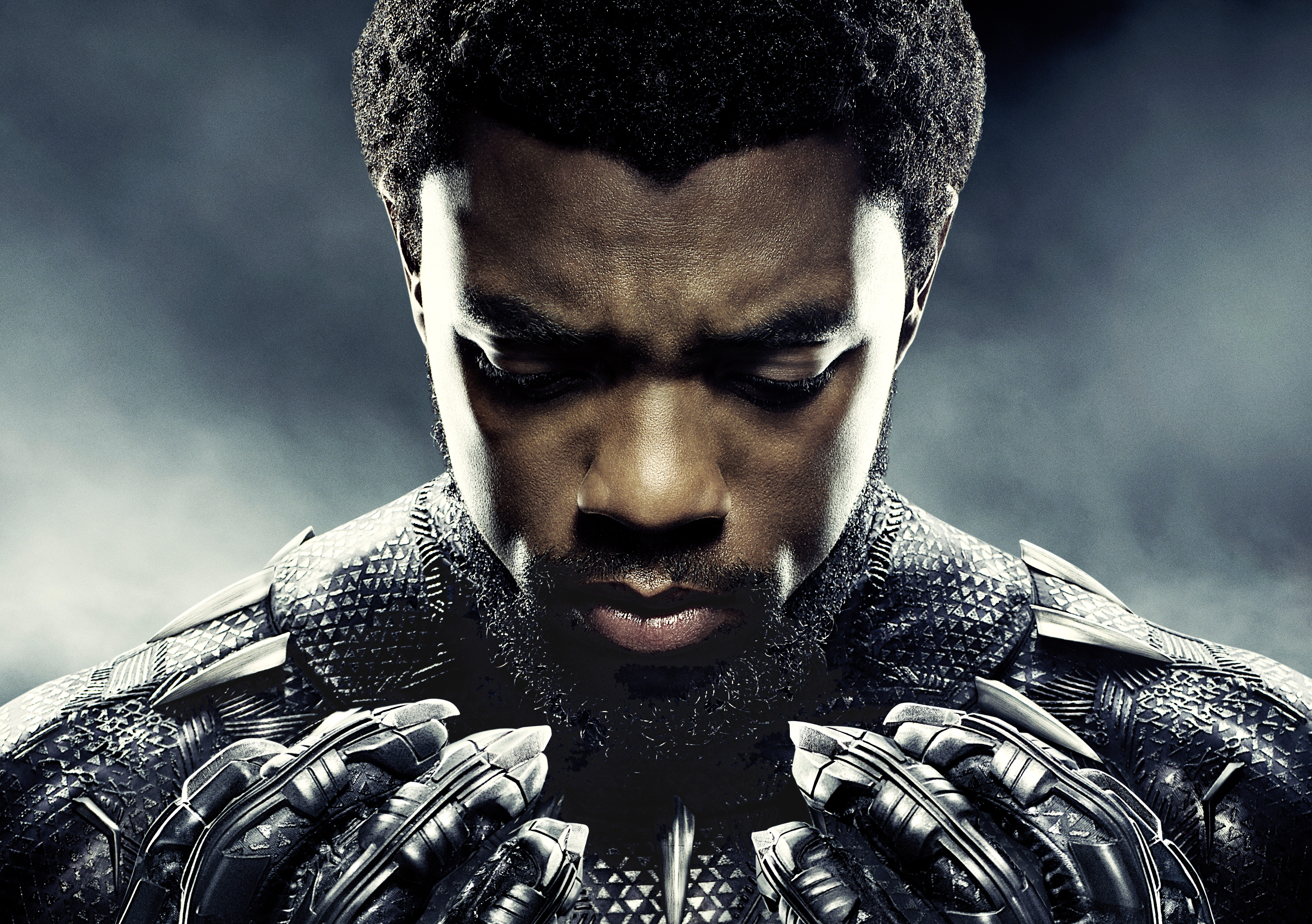110+ Black Panther HD Wallpapers and Backgrounds