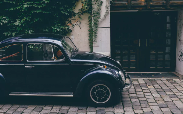 Volkswagen vehicle Volkswagen Beetle HD Desktop Wallpaper | Background Image