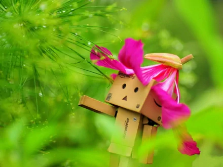 A Danbo figure from Yotsuba! anime adorned with a pink flower petal hat, nestled in vibrant green foliage, captured in HD for a PC desktop wallpaper.