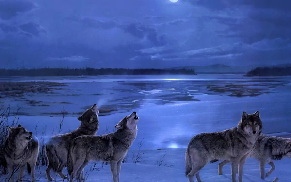 HD wallpaper depicting wolves howling beside a frozen lake under a moonlit winter night sky.