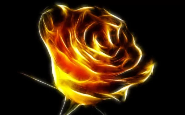 HD desktop wallpaper featuring a lone, artistic depiction of a glowing rose against a black background.