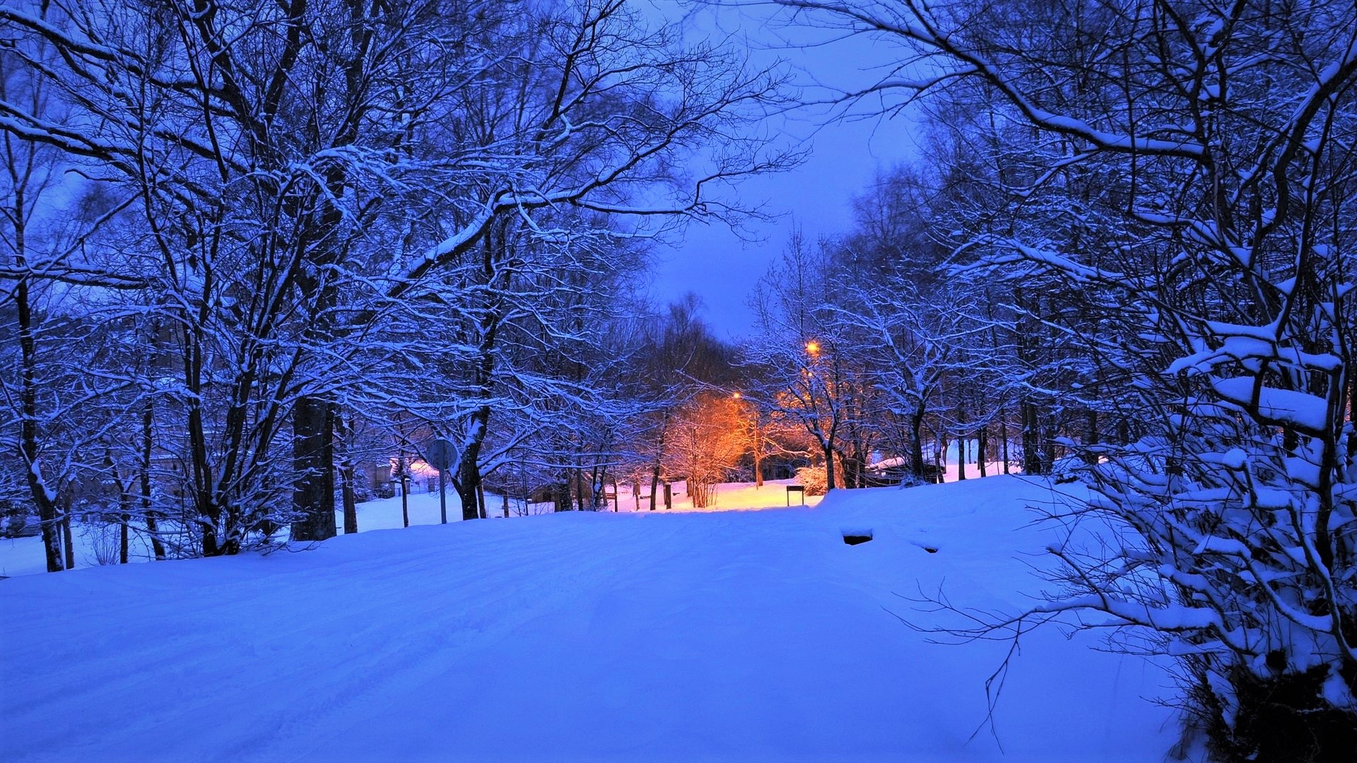 Winter Road at Dusk