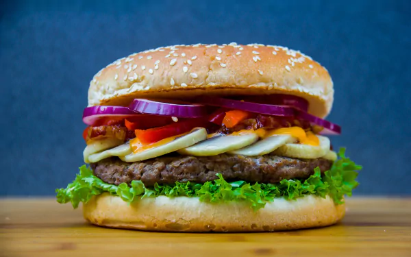  Hamburger with Salad