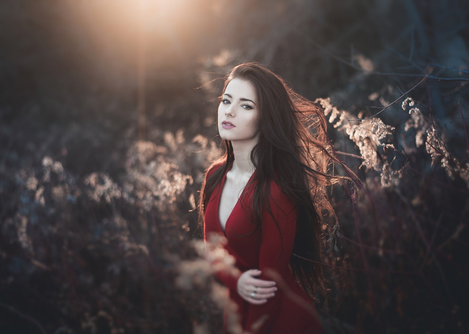 HD desktop wallpaper of a brunette model with long hair and brown eyes in a red dress, posed amid blurred foliage with soft depth-of-field lighting.