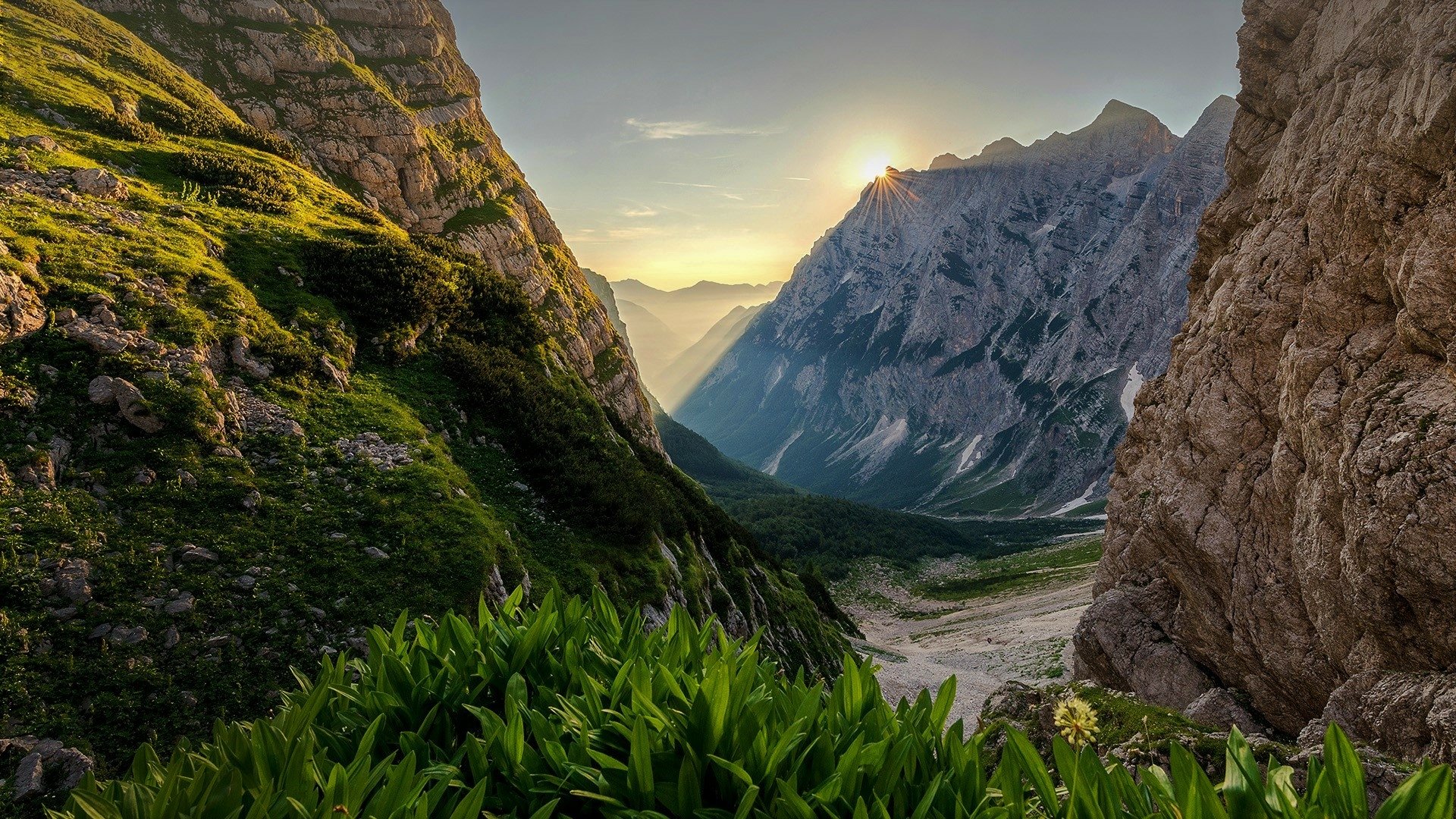 HD desktop wallpaper featuring a breathtaking landscape of lush green plants nestled between towering mountains at sunset. The serene nature scene captures the beauty of the mountainous terrain.