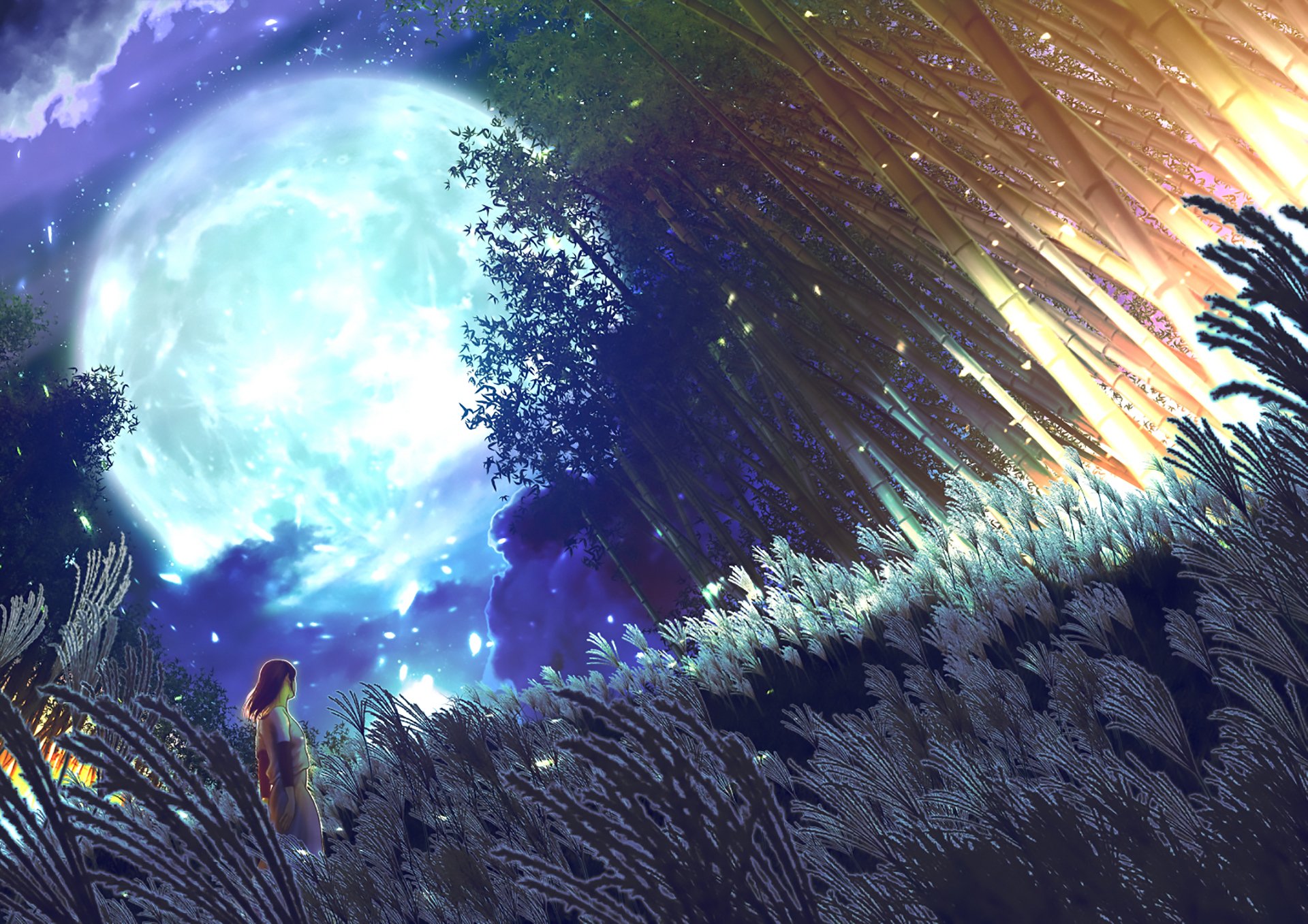 Anime HD desktop wallpaper showing a serene night scene with a large glowing moon, stars, silhouetted trees, bamboo, and a female figure amidst tall grasses.