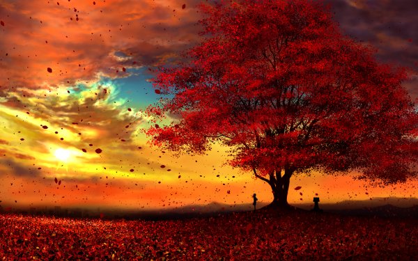 Anime Original Tree Fall Leaf Sun Peace Cloud HD Wallpaper | Background Image