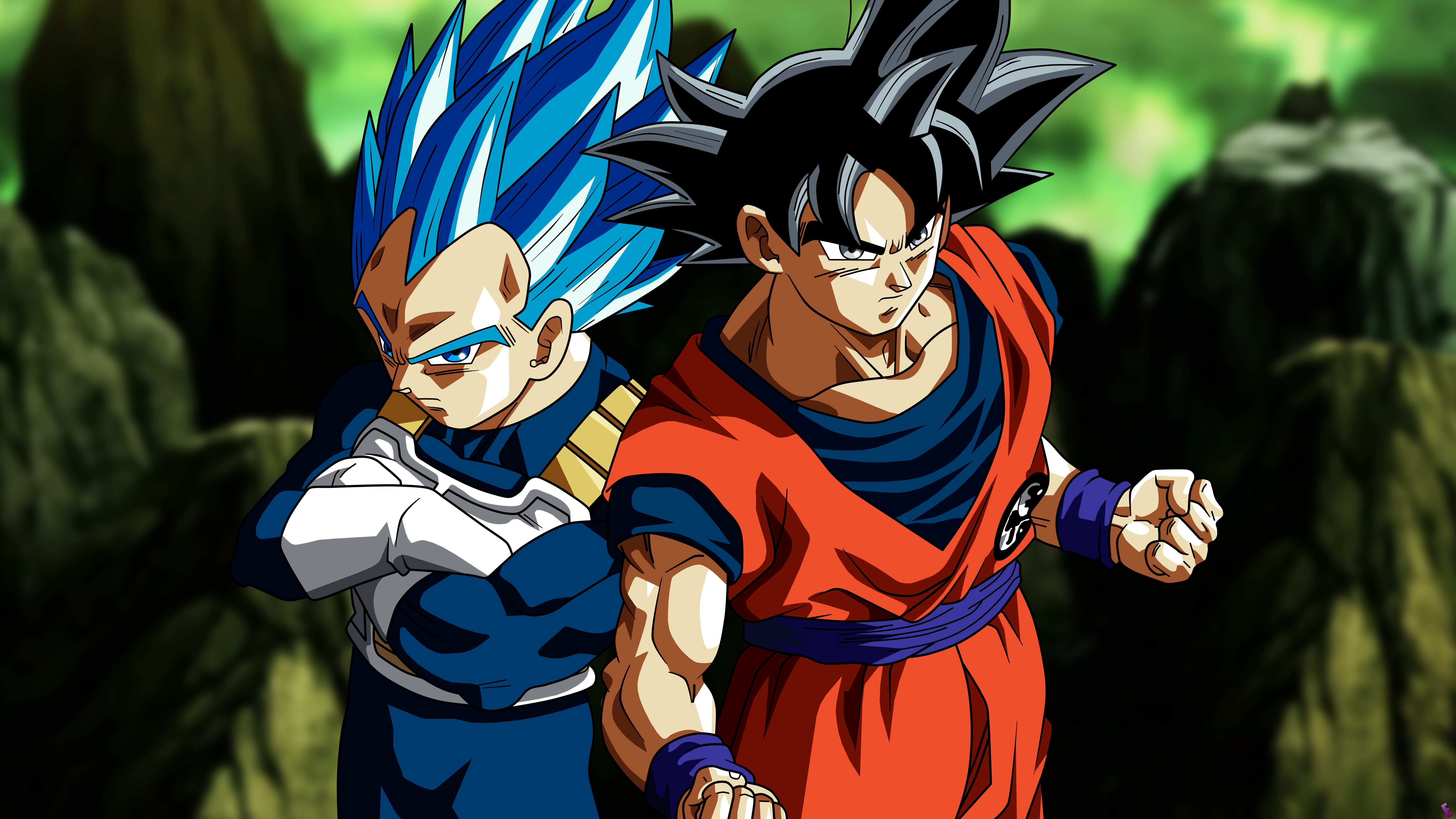 Goku & Vegeta, Dragon Ball Super  Anime dragon ball super, Anime