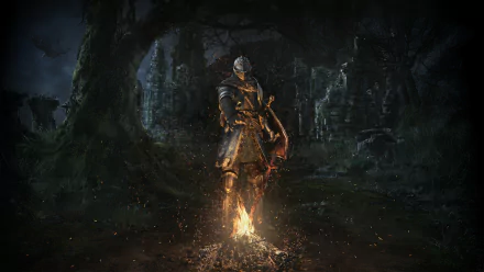 HD desktop wallpaper featuring a scene from the video game Dark Souls. A knight stands near a bonfire in a dark, misty forest with ruined structures in the background.