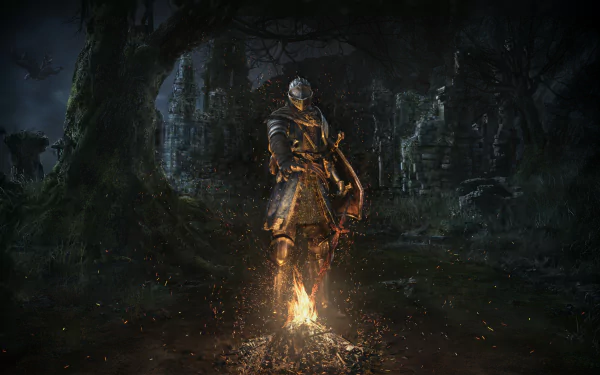HD desktop wallpaper featuring a scene from the video game Dark Souls. A knight stands near a bonfire in a dark, misty forest with ruined structures in the background.