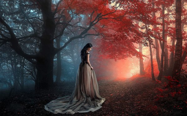 Fantasy Women Forest Fall Dress Black Hair HD Wallpaper | Background Image