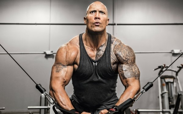 Celebrity Dwayne Johnson Actor Wrestler Muscle Tattoo Gym HD Wallpaper | Background Image