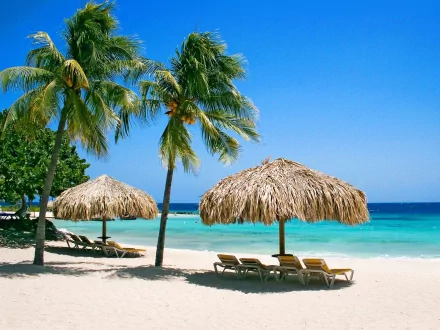 HD desktop wallpaper featuring a serene holiday scene with palm trees swaying by the ocean, loungers under thatched umbrellas on a pristine sandy beach, and clear blue skies in the background.