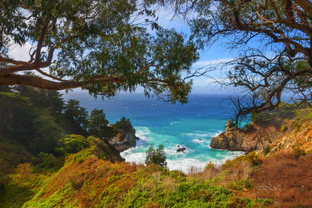 Big Sur coastline: windswept tree frames a rugged cliff dropping to turquoise Pacific surf — HD desktop wallpaper of California ocean and coastal nature.