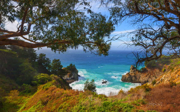  California Coastline by Michael de la Paz