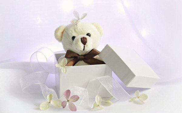 Man Made Stuffed Animal Gift Ribbon Teddy Bear HD Wallpaper | Background Image