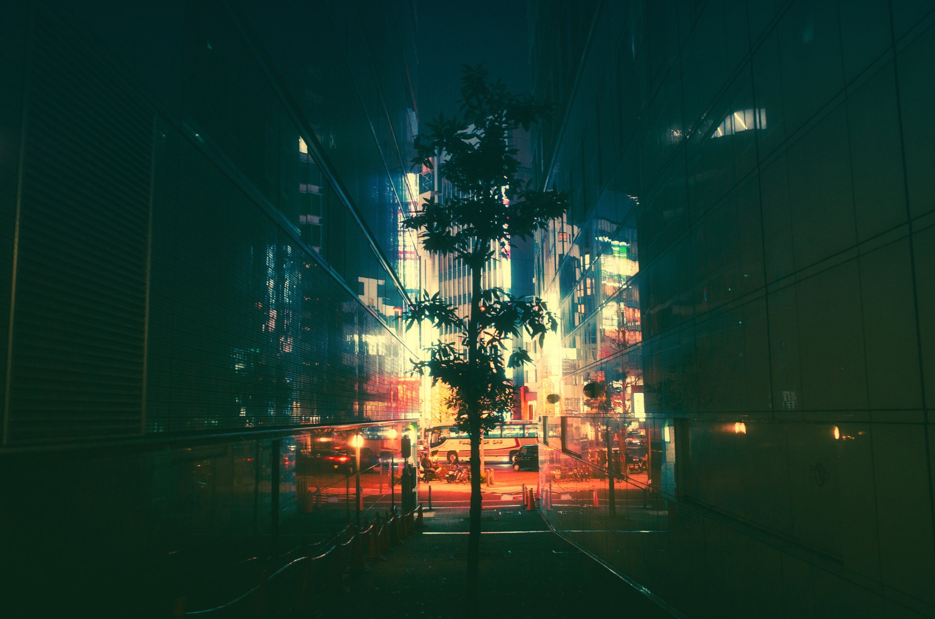 A neon-lit tree stands amidst city buildings at night in Japan, creating a striking contrast between nature and man-made urban lights in this HD desktop wallpaper.