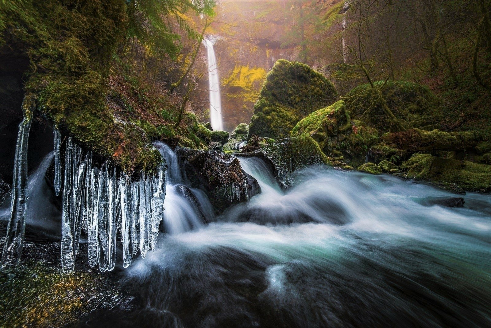 HD desktop wallpaper showcasing a winter forest scene with icy waterfalls, flowing water, and vibrant green moss covering rocks in a serene natural landscape.