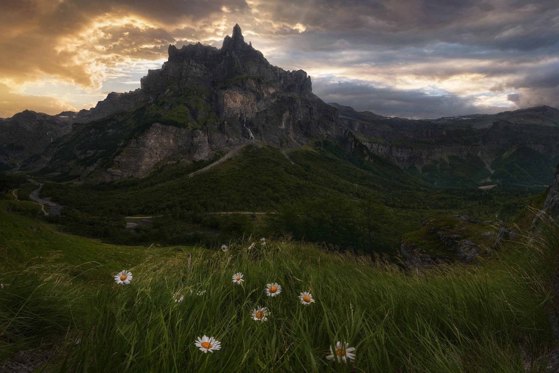 Majestic Mountain Sunset Over Lush Green Meadow | HD Nature Wallpaper ...