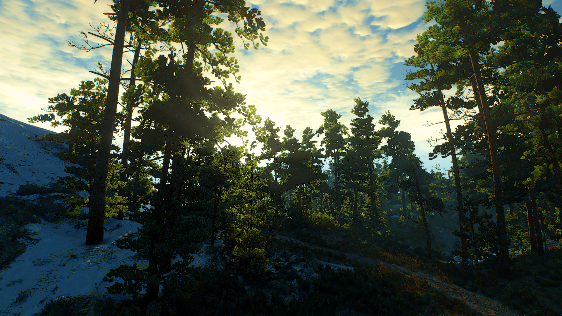 HD PC desktop wallpaper featuring a forest scene from the video game The Witcher 3: Wild Hunt under a partly cloudy sky.
