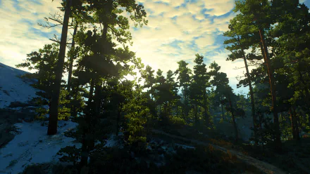 HD PC desktop wallpaper featuring a forest scene from the video game The Witcher 3: Wild Hunt under a partly cloudy sky.