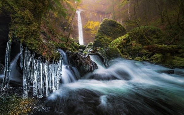 Earth Waterfall Waterfalls Winter Moss Green Forest Ice HD Wallpaper | Background Image