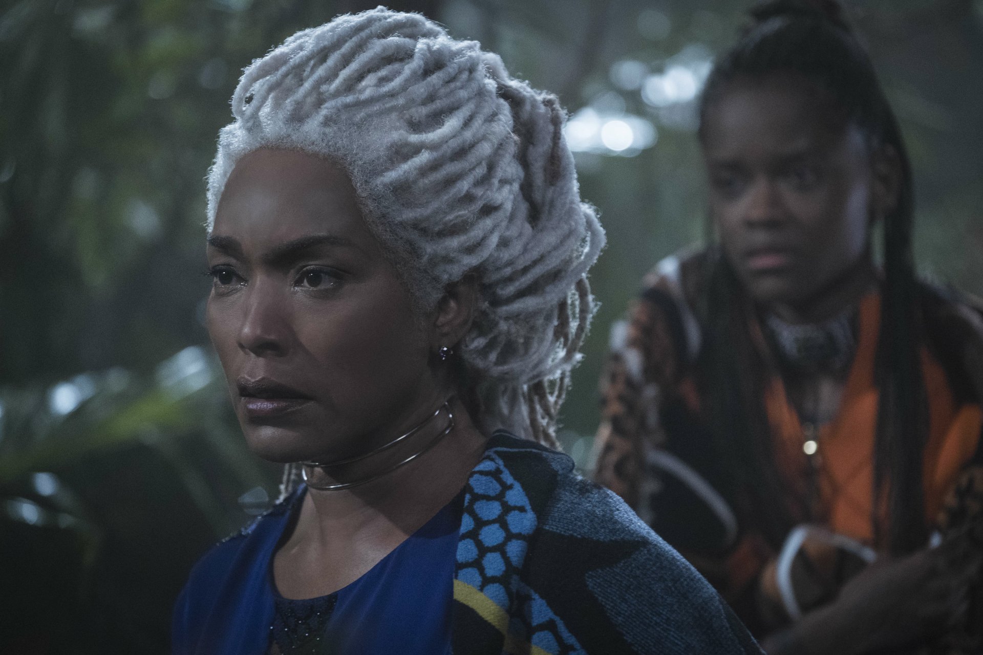 A high-definition desktop wallpaper featuring two characters from the movie Black Panther, set against a lush, natural background.