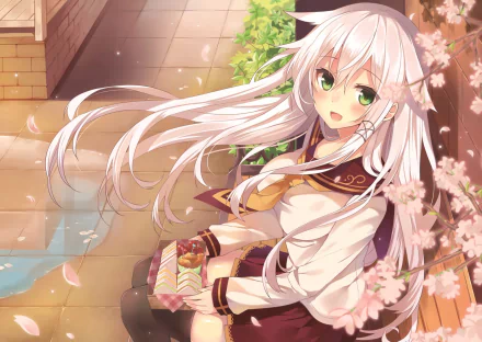 Anime girl with white hair and green eyes, wearing a school uniform and thigh-high socks, eating lunch and surrounded by falling flower petals. She smiles and blushes, sitting near a building. HD wallpaper.