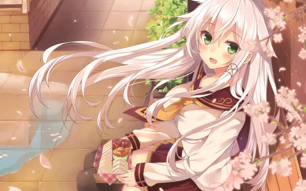 Anime girl with white hair and green eyes, wearing a school uniform and thigh-high socks, eating lunch and surrounded by falling flower petals. She smiles and blushes, sitting near a building. HD wallpaper.