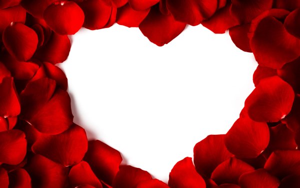 Photography Love Romantic Petal Heart-Shaped HD Wallpaper | Background Image