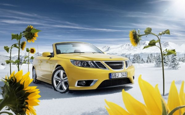 Vehicles Saab Car Convertible Sunflower Flower Snow Winter Yellow Car HD Wallpaper | Background Image