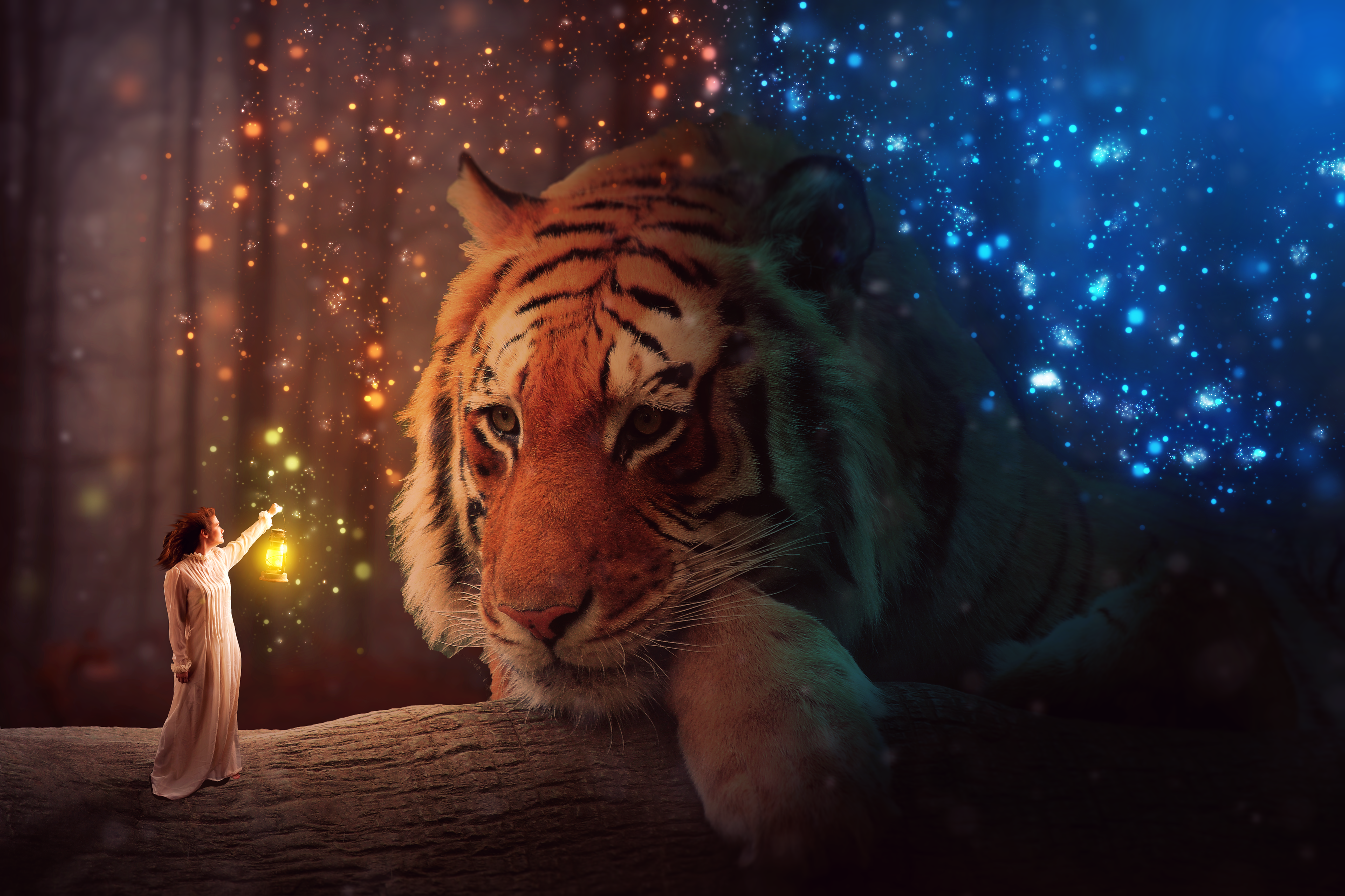 Fantasy Tiger HD Wallpaper | Background Image