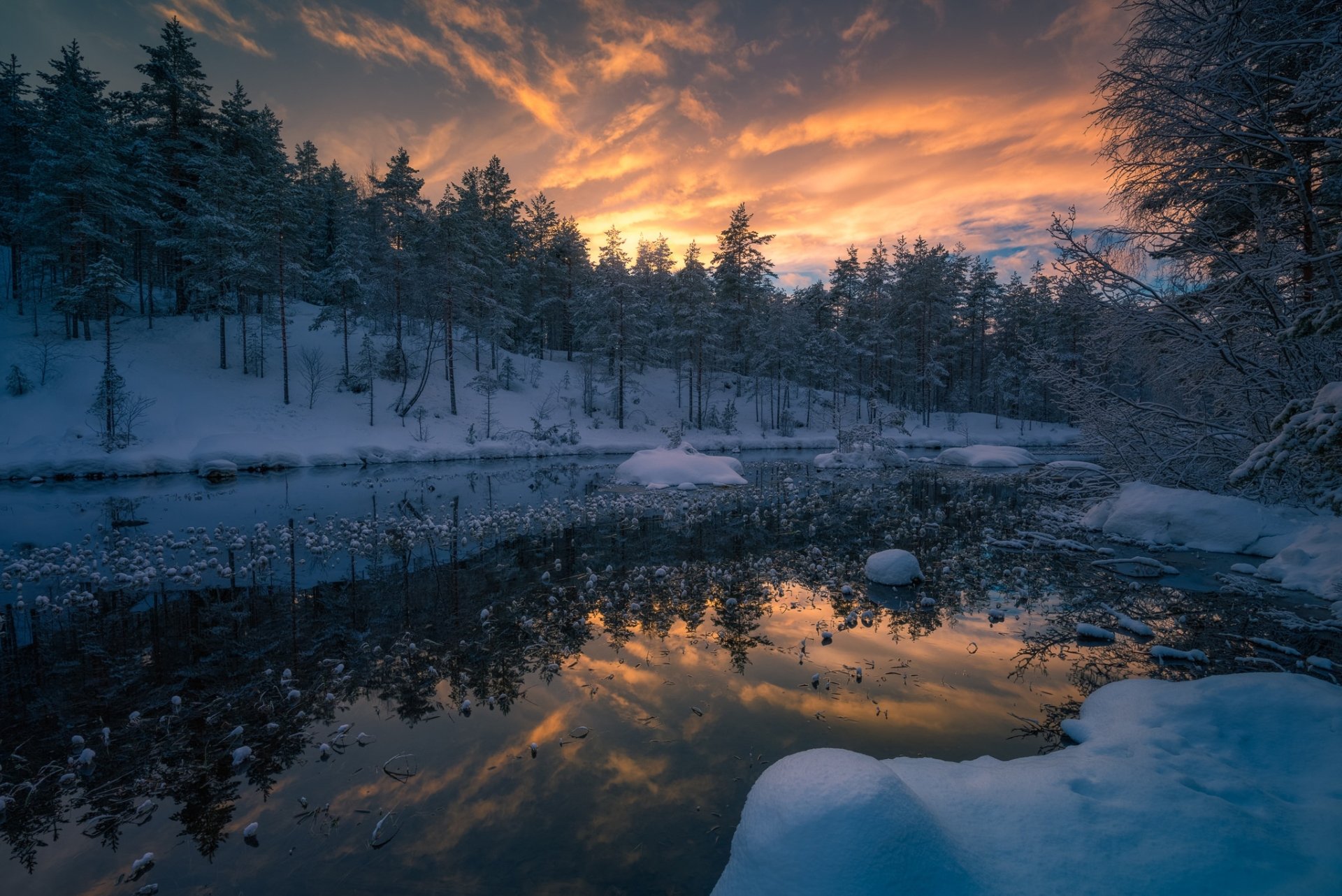 Download Forest Lake Sunrise Snow Nature Winter HD Wallpaper