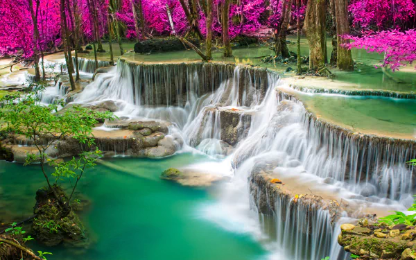 A vibrant 4K Ultra HD desktop wallpaper featuring a cascading waterfall surrounded by bright pink blossoms and lush greenery in a serene natural setting.