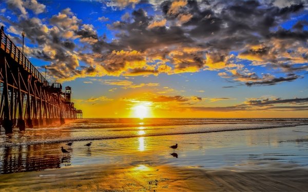 Man Made Pier Ocean Sunrise Sky Cloud Horizon HD Wallpaper | Background Image