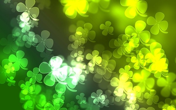 green clover holiday St. Patrick's Day HD Desktop Wallpaper | Background Image