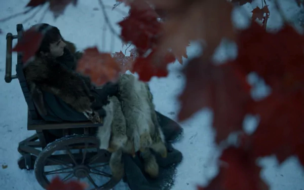 Isaac Hempstead-Wright Bran Stark TV Show Game Of Thrones HD Desktop Wallpaper | Background Image